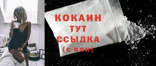 твердый Богородицк