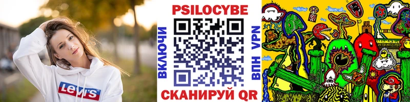 Псилоцибиновые грибы мицелий ОМГ ОМГ ONION Динская